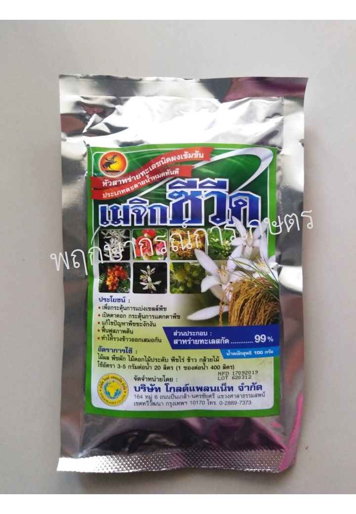 เมจิกซีวีด
