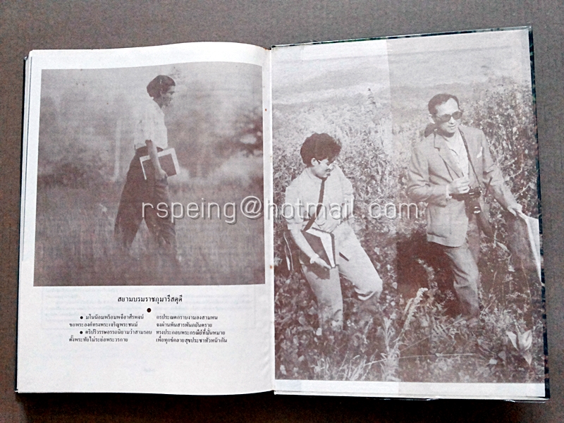 ปิยชาติสยามบรมราชกุมารี "ดาวประจำเมือง"