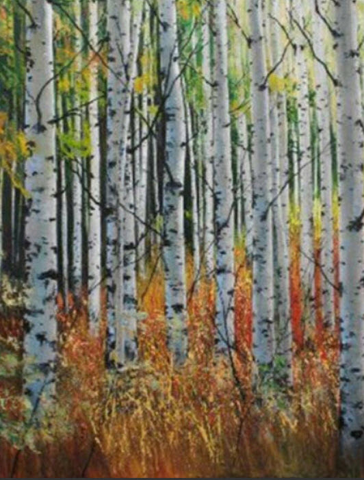 ไวท์เบิร์ช หรือ ซิลเวอร์ เบิร์ช (White Birch) / 100 เม็ด*