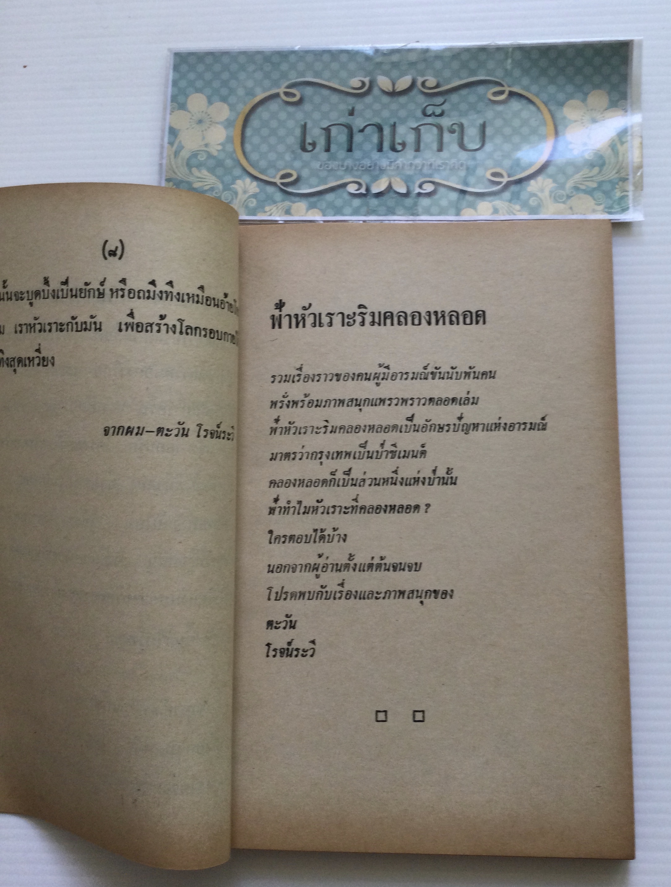 ฟ้าหัวเราะริมคลองหลอด โดย ตะวัน โรจน์ระวี