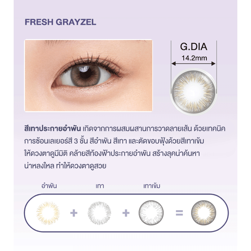 1 Day Acuvue Define - Fresh Collection *FRESH GRAYZEL* Color Contact lens คอนแทคเลนส์สีรายวัน สีใหม่ล่าสุด