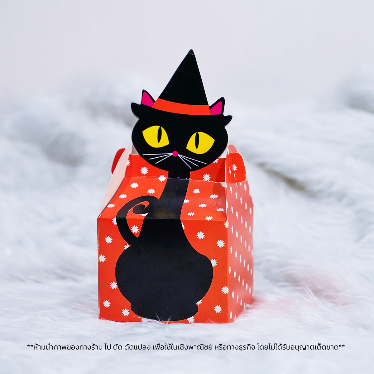 HALLOWEEN PARTY BLACK CAT SET DIY เพ้นท์หน้าเพ้นท์ตัว เด็กๆทำได้