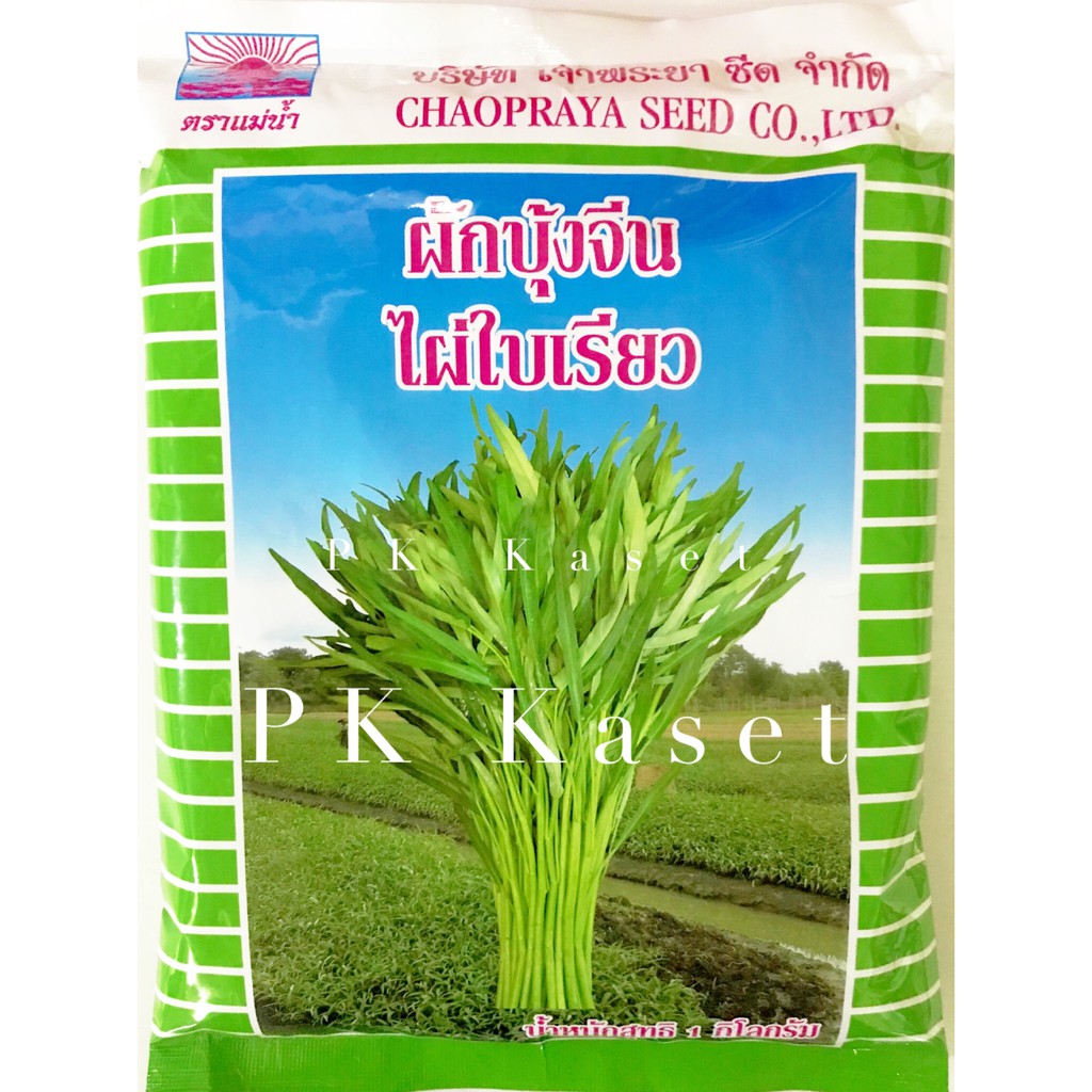 เมล็ดผักบุ้ง ไผ่ใบเรียว ตราแม่น้ำ ถุง ขนาด 1 kg