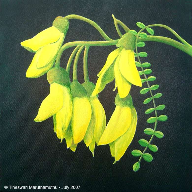 พิมพ์ตัดลิลลี่ภูเขา (Cutter Mold Kowhai flower)