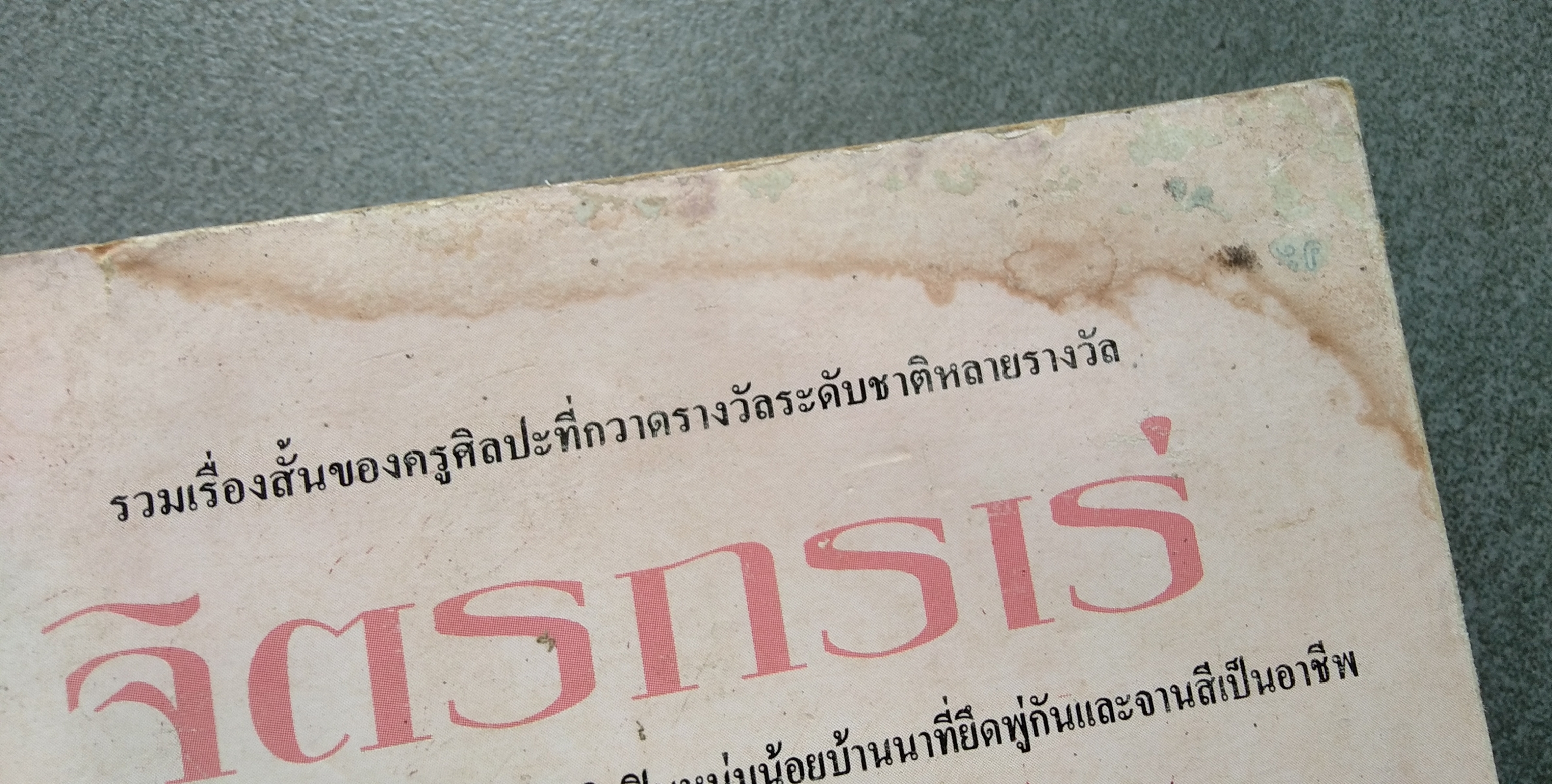 จิตรกรเร่ โดย ไพบูลย์ พันธ์เมือง