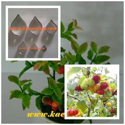 พิมพ์ตัดอลูมิเนียมใบมะยมแดง(Aluminum mold cutter SURINAM CHERRY Leaf)