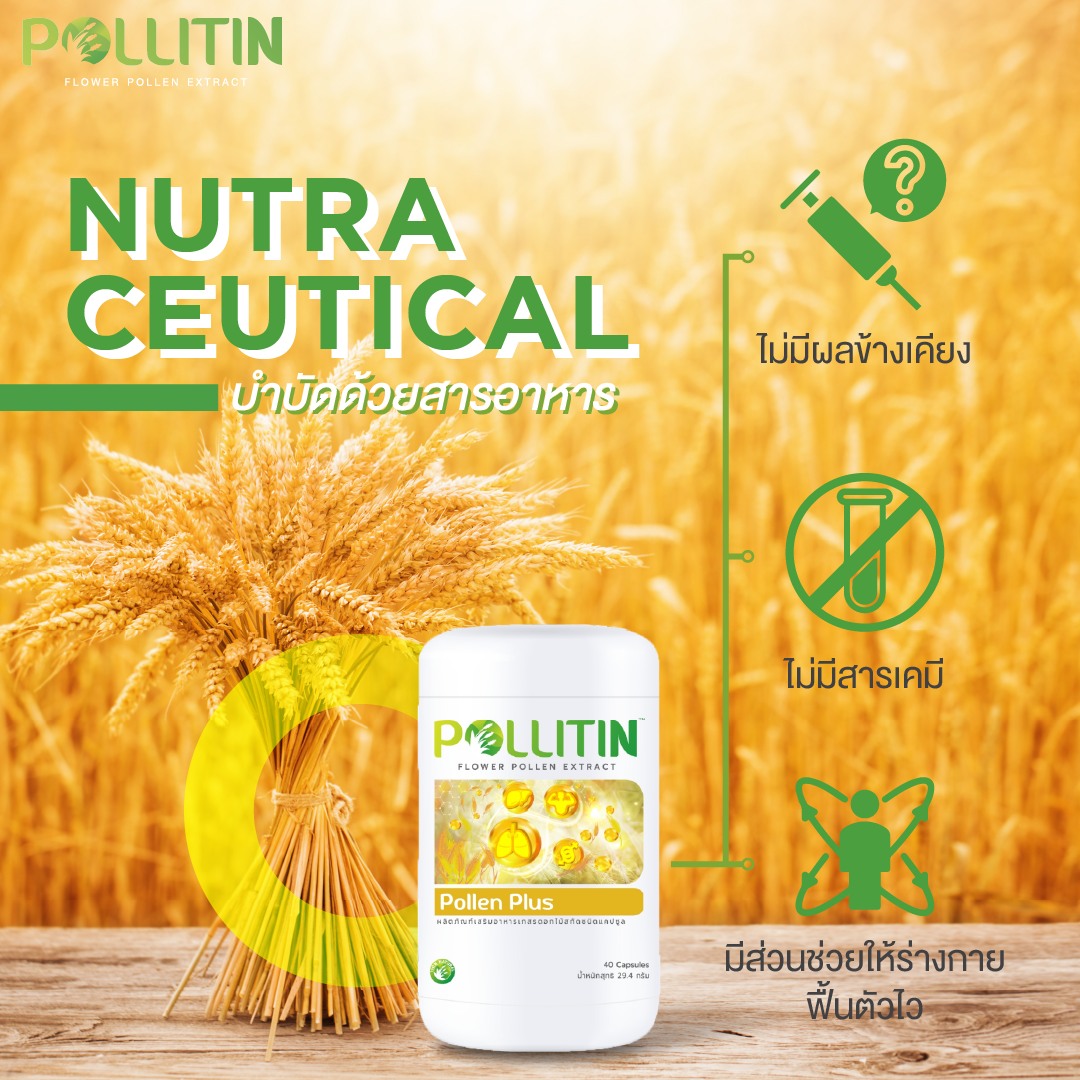 พอลเลน พลัส Pollen Plus (สีเหลือง)