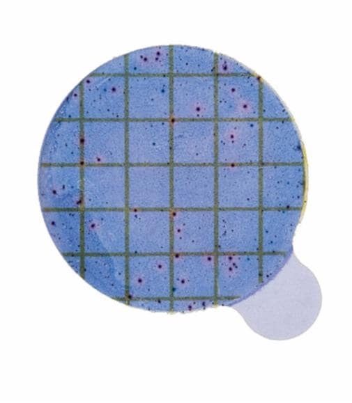 STX-D แผ่นยืนยันผลทดสอบเชื้อสแตปฟิโลคอคคัส ออเรียส 3M™ Petrifilm™