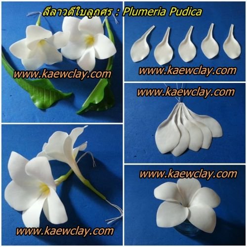 พิมพ์อลูมิเนียมตันลีลลาวดีใบลูกศร(Aluminum mold cutter Plumeria pudica + leaves )