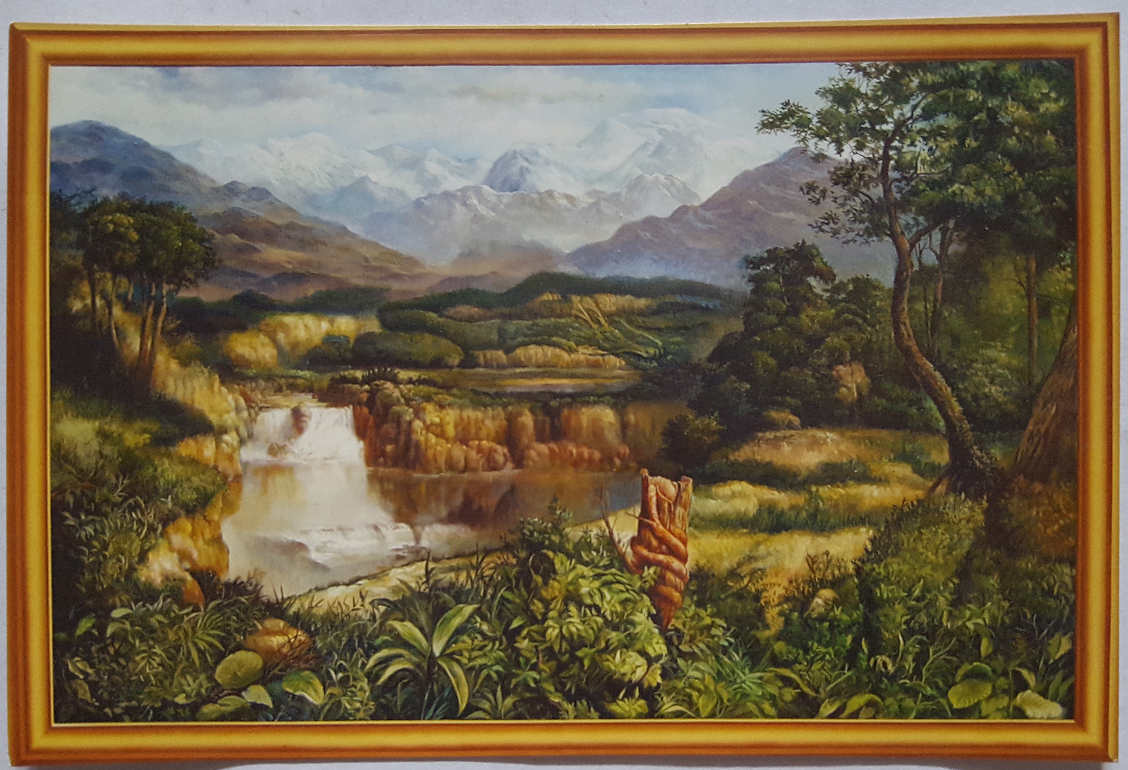โปสการ์ดปริศนา ซ่อนภาพสัตว์