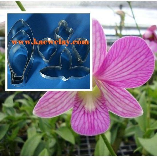 พิมพ์ตัดกล้วยไม้หวาย (Aluminum mold cutter Dendrobium )