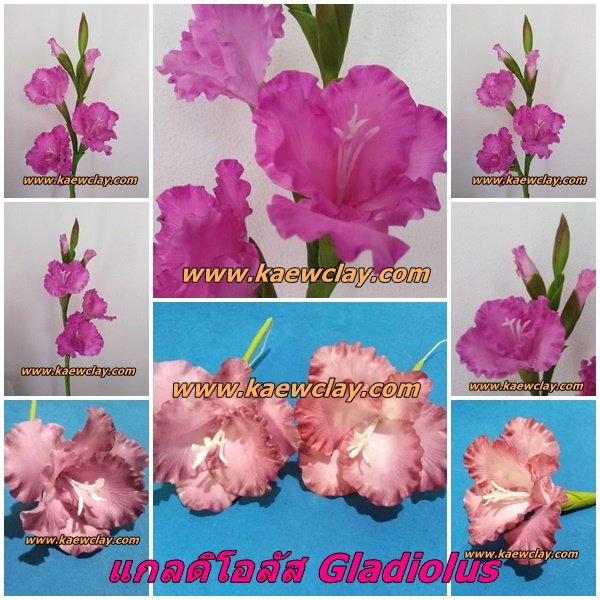 พิมพ์ตัดดอก + ใบแกลดิโอลัส ( Aluminum Mold cutter Gladiolus flower )
