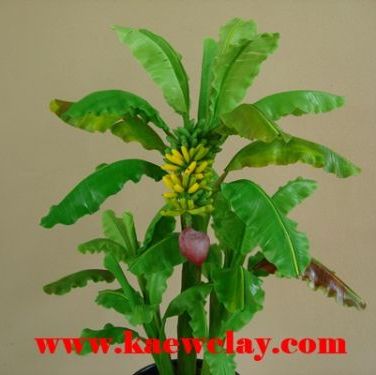 DVD สอนทำต้นกล้วย หรือ Link Online (DVD How to make Banana Tree with KAEWCLAY)