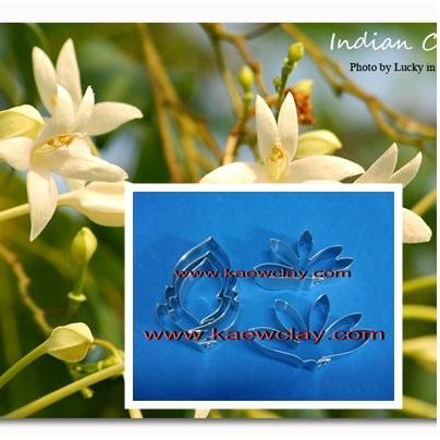 พิมพ์ตัดดอกปีบหรือกาสะลอง+ใบ(Aluminum mold cutter Indian cork tree.)