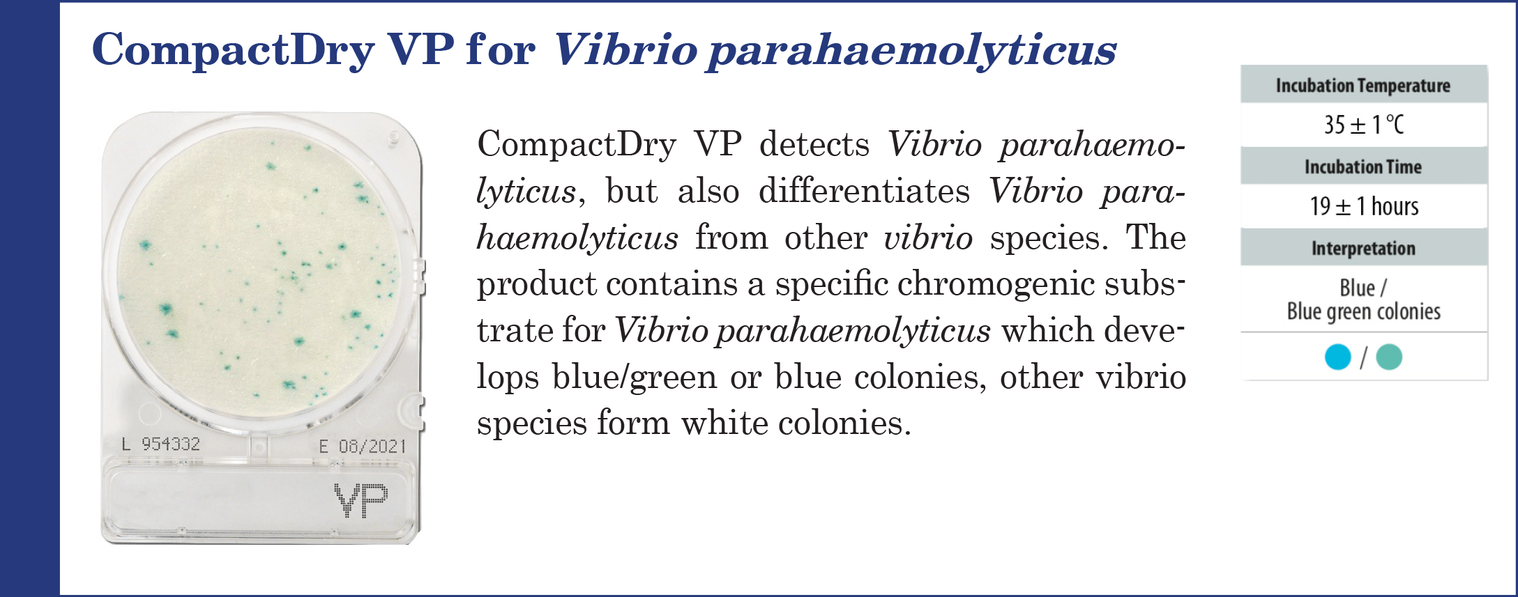 Compact Dry VP (สำหรับตรวจ V.parahaemolyticus)