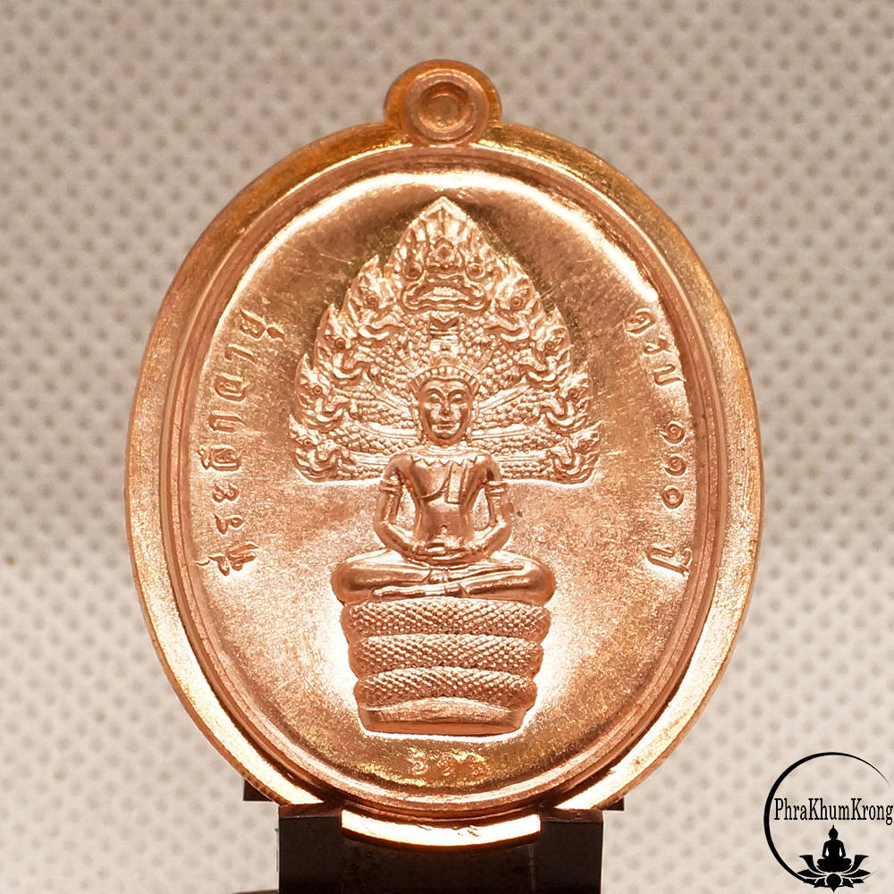 เหรียญนาคปรก รุ่น ที่ระลึกอายุ ๑๑๐ ปี หลวงปู่ทวน ปุสฺสวโร วัดโป่งยาง อำเภอแก่งหางแมว จังหวัดจันทบุรี เนื้อทองแดง ไม่ตัดปีก