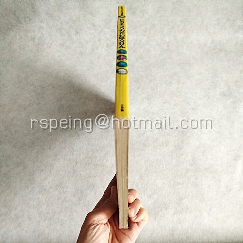 ピカチュウのだいぼうけん （ポケモンパノラマ絵本） การผจญภัยครั้งใหญ่ของปิกาจู (หนังสือภาพโปเกมอนพาโนรามา)