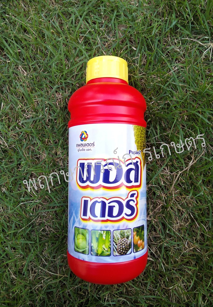 พอสเตอร์