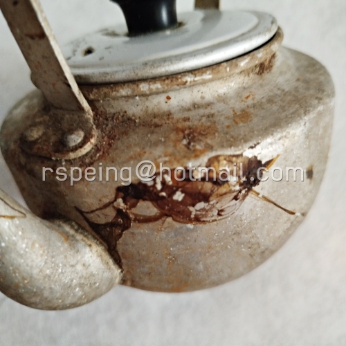 กาน้ำอลูมิเนียมวินเทจขนาดเล็ก ตราจระเข้