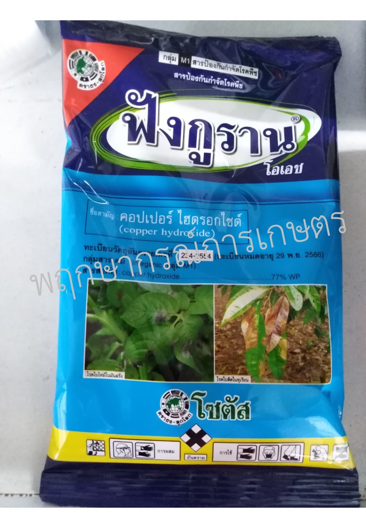 ฟังกูราน 100 กรัม