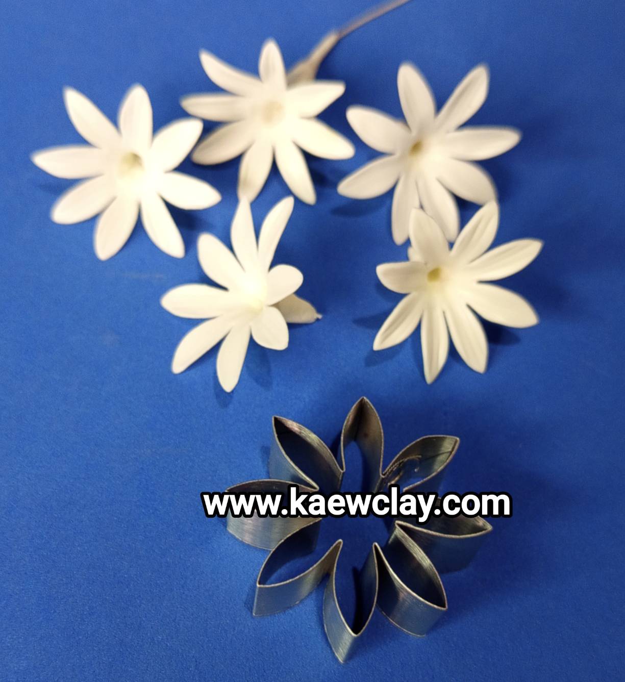 พิมพ์ตัดอลูมิเนียมดอกมะลุลี(Aluminum mold cutter flower Star-jasmine)
