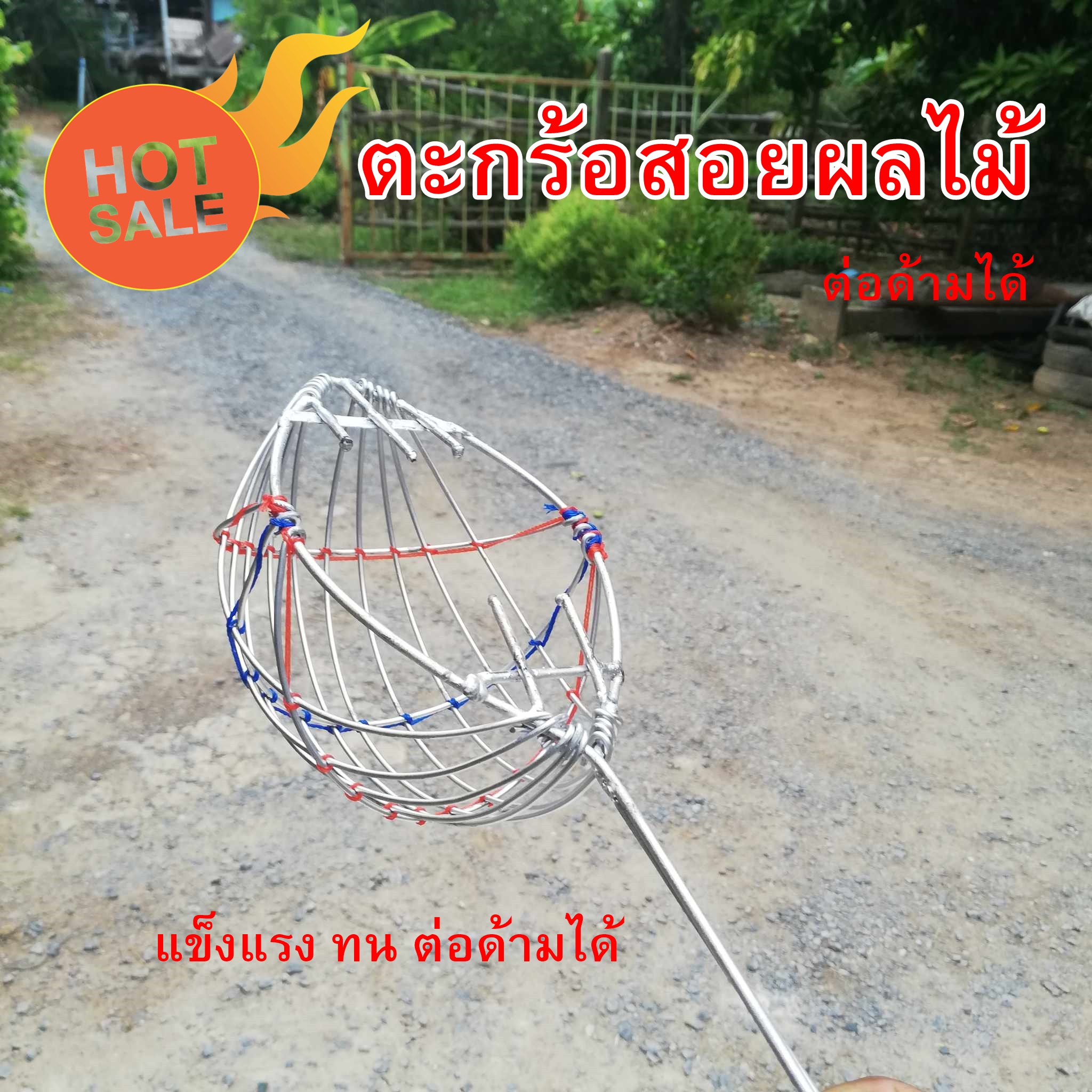 ตระกร้อสอยมะนาว มะกรูด