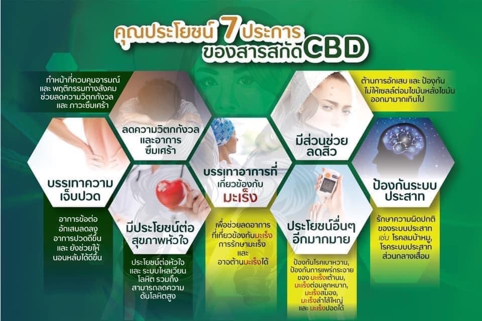 (พร้อมส่งในไทย) น้ำมันกัญชา Dr.Bliss 200 mg. 5ml.