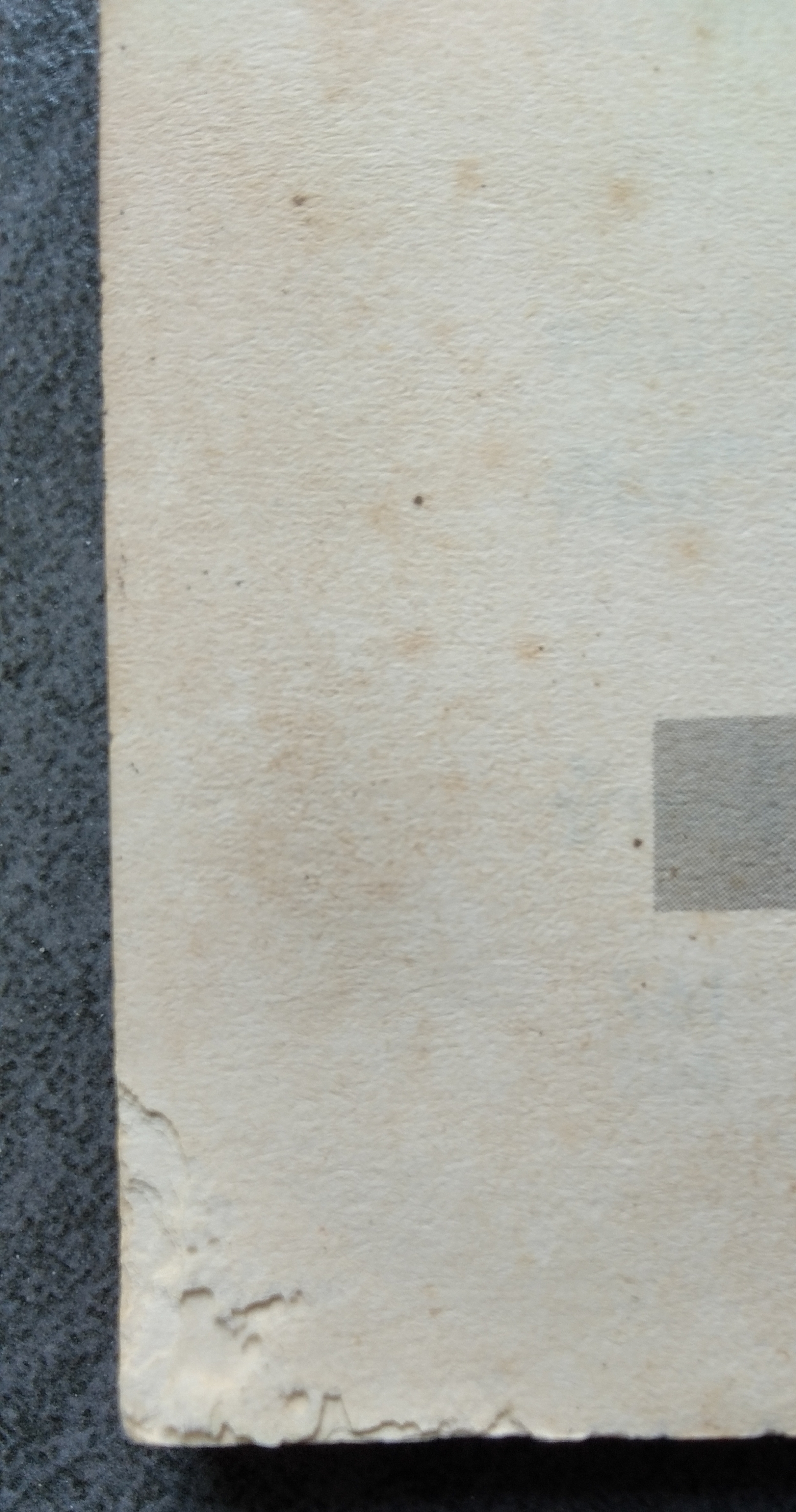 ประกายเกล็ดมังกร