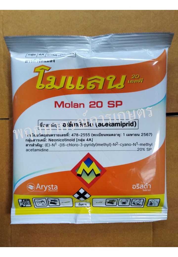 โมแลน