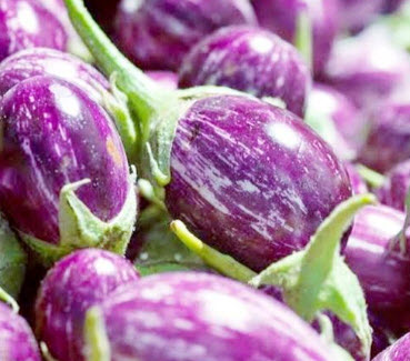 มะเขือเปราะ (Eggplant) สีม่วง / ซอง