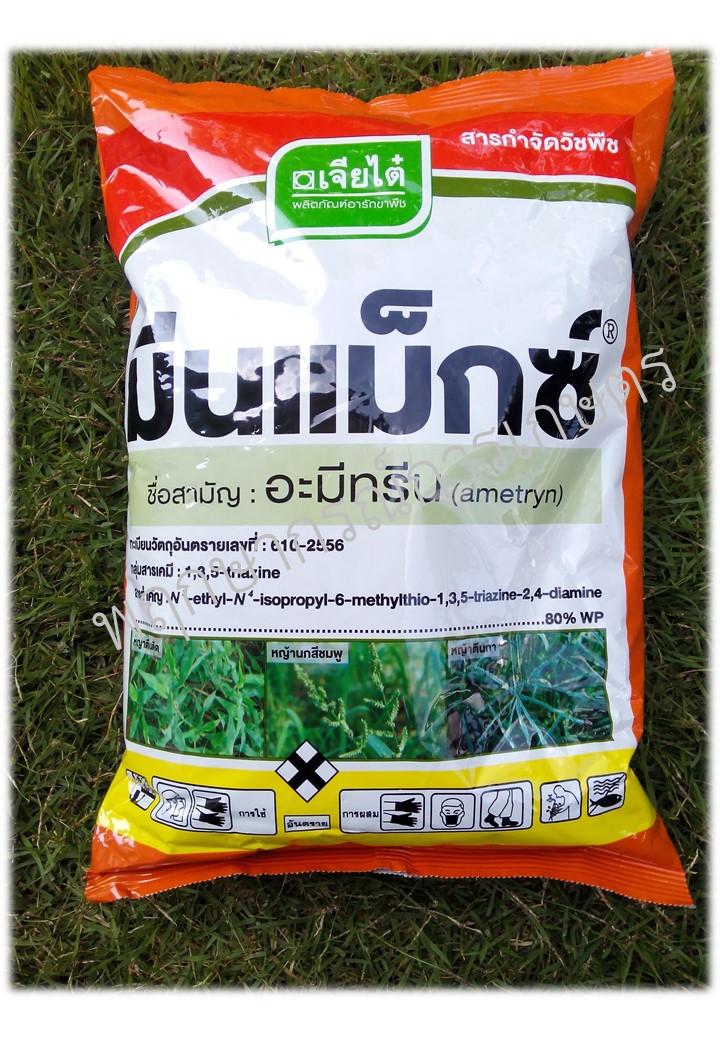 มีนแม็กซ์