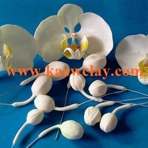 DVD สอนทำกล้วยไม้ฟาแลนนอปซิส หรือ Link Online (DVD How to make Phalaenopsis Orchids with KAEWCLAY)