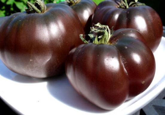 มะเขือเทศ สีดำ (Black Tomato) / 60 เม็ด (UK)