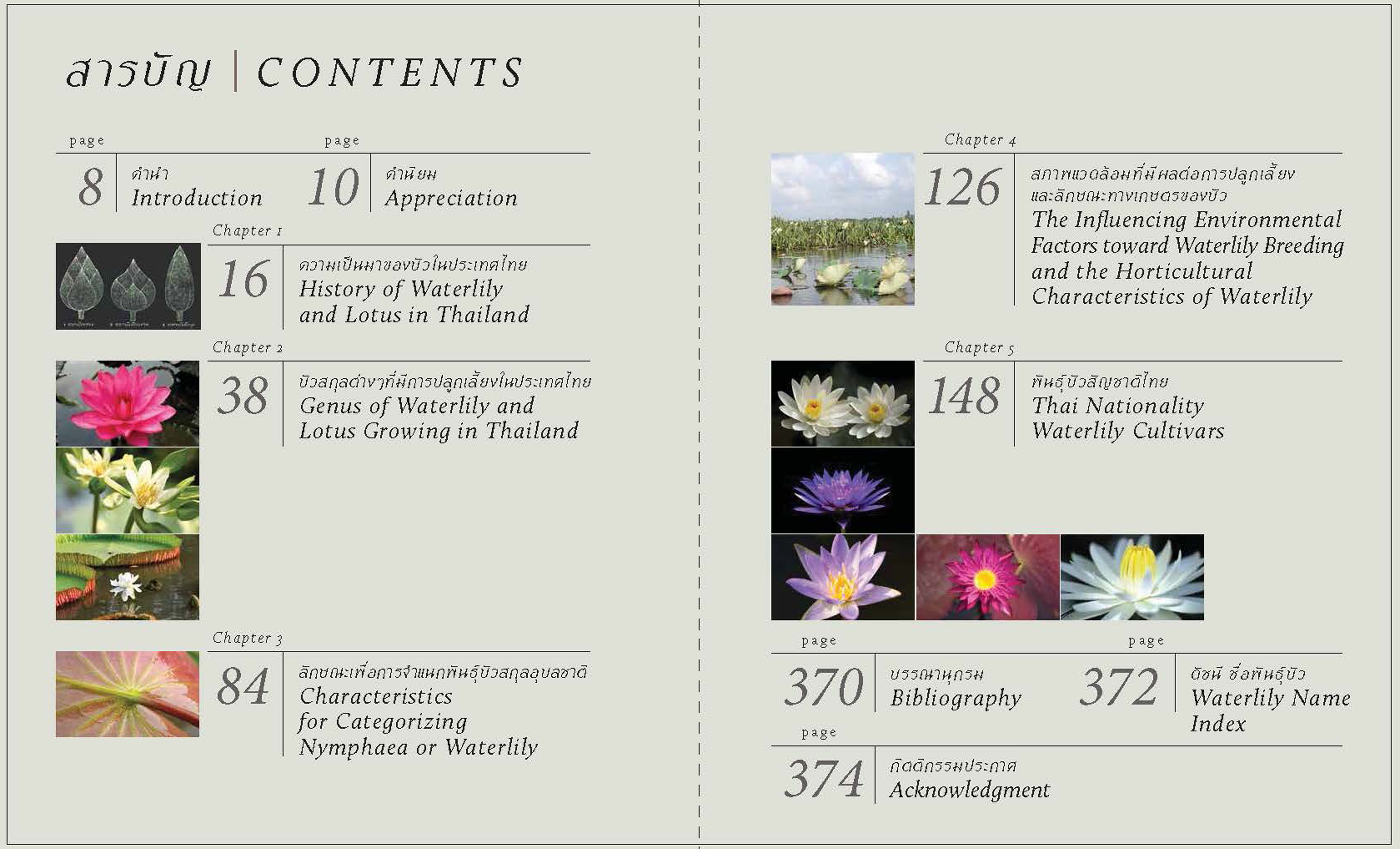 หนังสือ บัวสัญชาติไทย ในปางอุบล