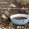 ถ้าเก็บชาผู่เอ๋อร์สุกจะพัฒนาตัวเองได้เหมือน ชาผู่เอ๋อร์ดิบหรือไม่...?