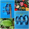 พิมพ์ตัดดอก+ใบพริมโรส(Mold cutter Primula Flowers -Primrose)