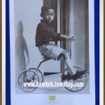 พลอยแกมเพชร ปก รัชกาลที่ ๙ ทรงจักรยาน