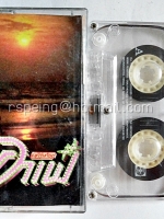 โมเดิร์นด็อก : คาเฟ่