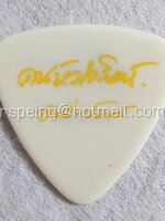 ปิ๊กกีต้าร์ คนหัวใจสิงห์ อัสนี-วสันต์ (ตัวหนังสือสีเหลือง)