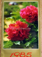 ปฏิทินแขวน ภาพไม้ดอกจาก Hong Kong 1985 (2527)