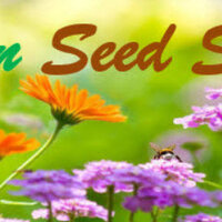 ร้านgreenseedshop ร้านgreenseedshop