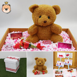 เซ็ตเซอร์ไพรส์ ตุ๊กตาหมีนั่ง size 8นิ้ว สีน้ำตาล พร้อมเม็ดโฟมคละสี น่ารัก กล่องเปิดฝาเล็กกว่าครึ่งAขาว (ส่งด่วน)