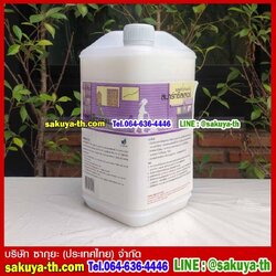 น้ำยารองพื้นเคลือบเงา