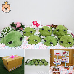 ของขวัญ เซอร์ไพรส์ เม็ดโฟมคละสี เต่า แซมมี่ 9นิ้ว 1ตัว / 5นิ้ว 6ตัว (ขนาดครึ่ง Double A) ขนาด 23.5*19*34cm