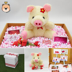 เซ็ตเซอร์ไพรส์ ตุ๊กตาหมู size 8นิ้ว พร้อมเม็ดโฟมคละสี น่ารัก กล่องเปิดฝาเล็กกว่าครึ่งAขาว (ส่งด่วน)