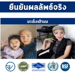 รีวิวพอลลิติน Pollitin เซอร์นิติน Cernitin