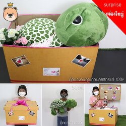 เซ็ตเซอร์ไพรส์ แฟน ตุ๊กตา เต่าแซมมี่ Size 80cm กล่องเปิดฝา ขนาด36*50*30cm แถมภาพ การด์และตกแต่งตามโอกาสฟรี