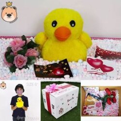 ของขวัญเซอร์ไพรส์ เป็ดฮ่องกง 8นิ้ว (ฝาชน) ขนาด 25.5*17.5*19cm