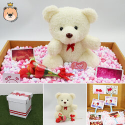 เซ็ตเซอร์ไพรส์ ตุ๊กตาหมีนั่ง size 8นิ้ว สีขาว พร้อมเม็ดโฟมคละสี น่ารัก กล่องเปิดฝาเล็กกว่าครึ่งAขาว (ส่งด่วน)