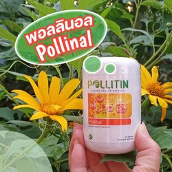 พอลลินอล (สีส้ม) Pollinal พอลลิติน Pollitin เซอร์นิติน